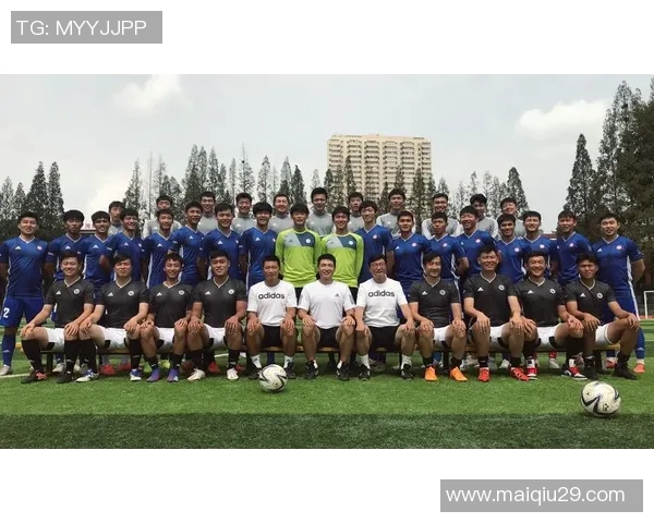 探寻南京足球队的独特节奏与激情背后的故事与魅力