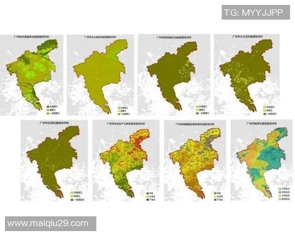 全国锦标赛中北京排球队技术表现分析与点评探讨