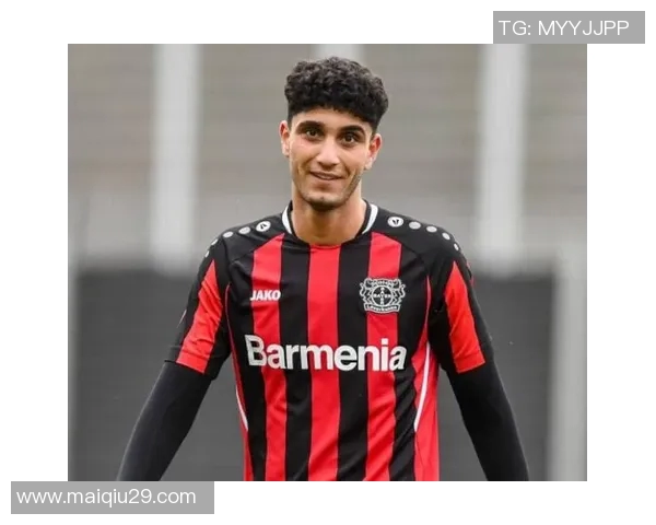 武汉网球队速度表现分析与欧冠足球赛事的关联探讨