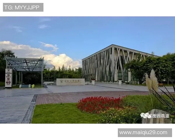 英超重磅专题聚焦成都篮球队运营创新与市场拓展新策略