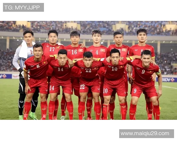 武汉足球队在世界杯中的实力表现深度分析与点评