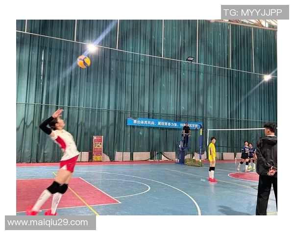 武汉排球队的团队协作精神与排球竞技的完美结合探讨实时数据